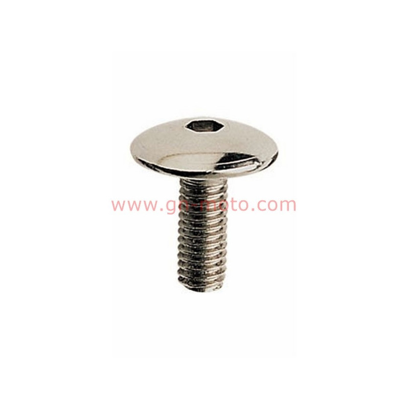 VIS DE FLANC CARENAGE TDM M5X16mm VIS DE FLANC CARENAGE TDM M5X16mm