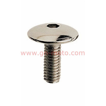 VIS DE FLANC CARENAGE TDM M5X13mm 