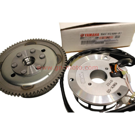 ensemble generatrice (rotor stator ) Yamaha 50 TZR 2003-2012 5WX-H1400-01