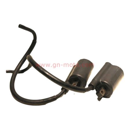 Lot de 2 Bobines Allumage Yamaha 900 TDM Sans ABS – Réf. 2UJ-82310-01 occasion