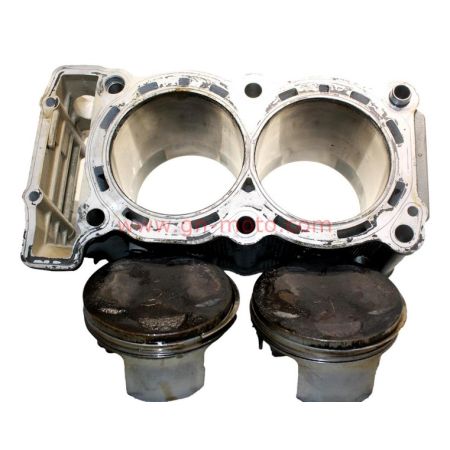 Cylindres + Pistons Yamaha 900 TDM (2002–2006) – Réf. 5PS-11311-00 – Occasion