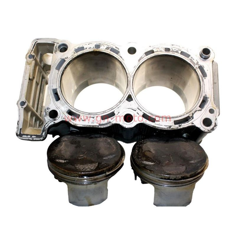 Cylindres + Pistons Yamaha 900 TDM (2002–2006) – Réf. 5PS-11311-00 – Occasion