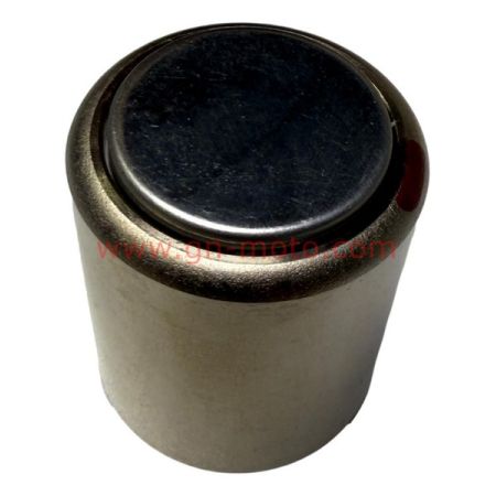 PISTON POURETRIER ARRIERE 750 XTZ