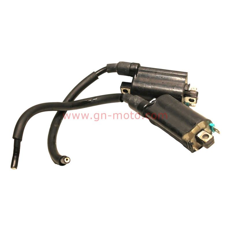 Paire de Bobines Allumage Yamaha 850 TDM 1996-2001 | Réf. 3TB-82310-00 | Occasion