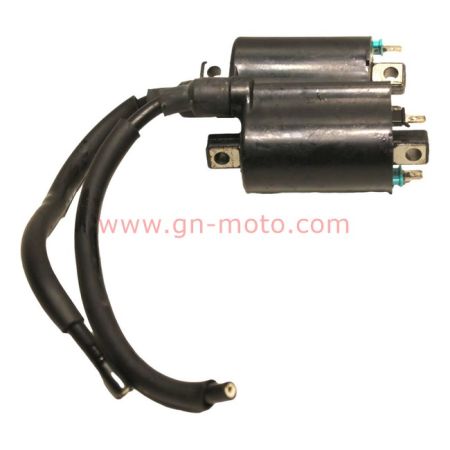 Paire de Bobines Allumage Yamaha 850 TDM 1996-2001 | Réf. 3TB-82310-00 | Occasion