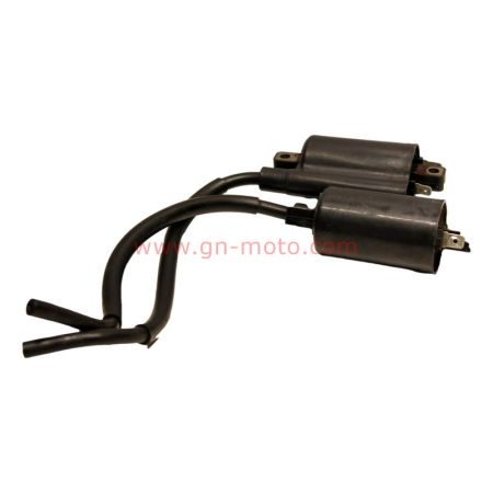 Paire de Bobines Allumage Yamaha 850 TDM 1996-2001 | Réf. 3TB-82310-00 | Occasion