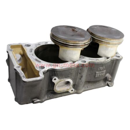 Cylindres + Pistons Yamaha 900 TDM (2002–2006) – Réf. 5PS-11311-00 | Occasion