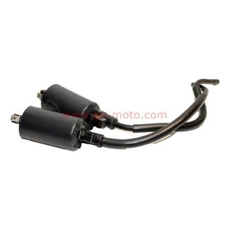 Paire de Bobines Allumage Yamaha 850 TDM 1996-2001 3TB-82310-00 | Occasion