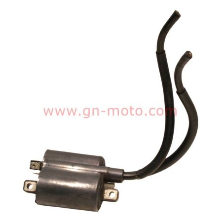 paire de bobines allumage Yamaha 850 TDM 4TX 1996-2001 3TB-82310-00 | Occasion