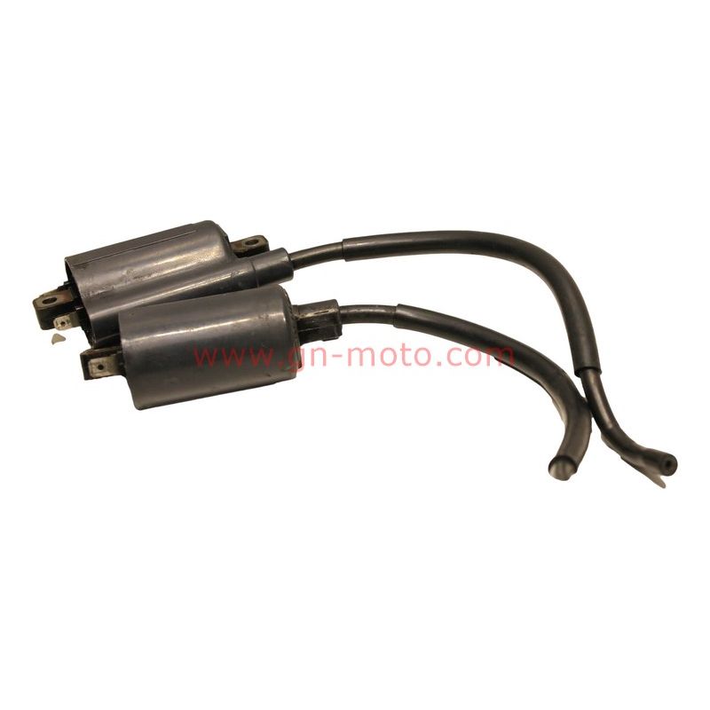 Paire de bobines allumage Yamaha 850 TDM 1996-2001 3TB-82310-00 | Occasion