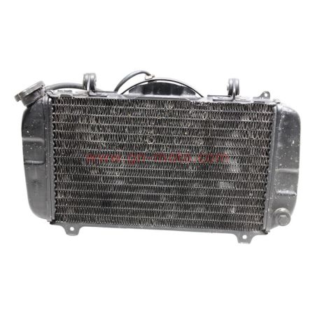 radiateur ventilateur yamaha 850 trx 4NX-12461-00 | Occasion