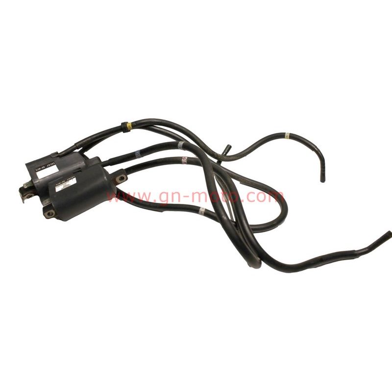 Bobines Allumage Yamaha 1300 FJR 2001-2005 5JW-82310-00 | Occasion