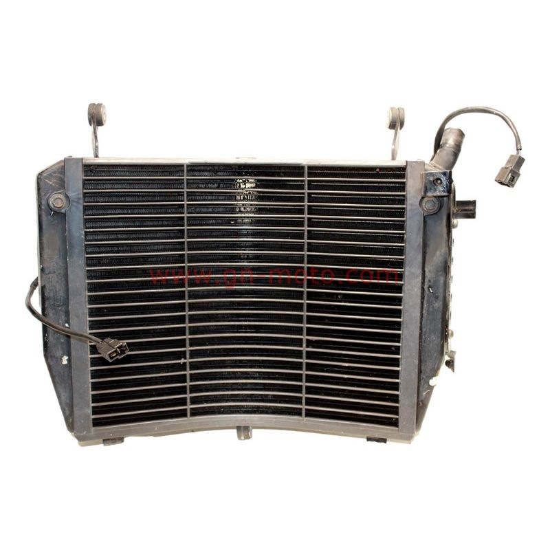 radiateur Yamaha 1300 FJR 2006-2020 3P6-12461-00 | Occasion