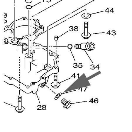 JOINT DU GROS BOUCHON DE VIDANGE TDM TRX (CLE DE 17mm)